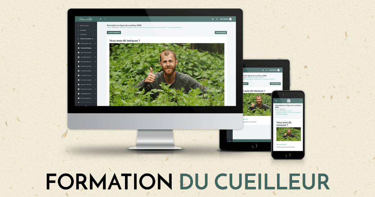 Formation du Cueilleur : 3, 2, 1… Démo !