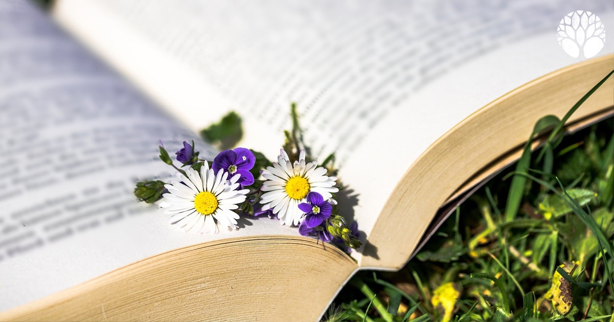 Nos conseils lecture de l'été