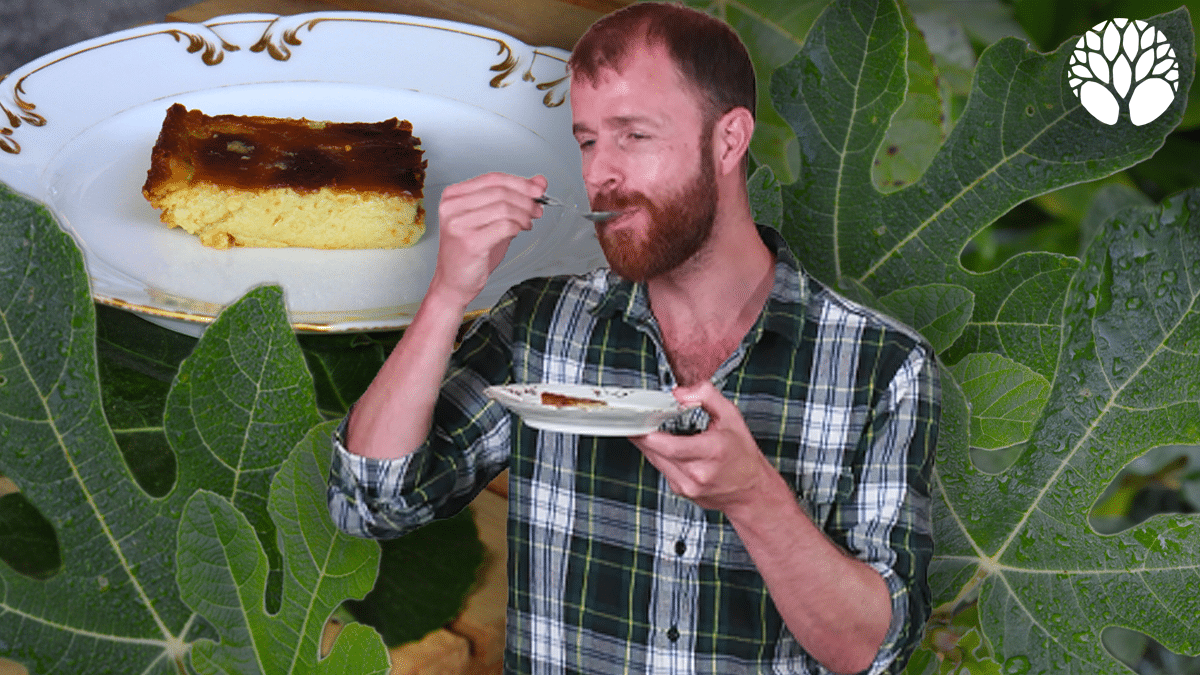 Flan aux feuilles de figuier : une recette originale et parfumée
