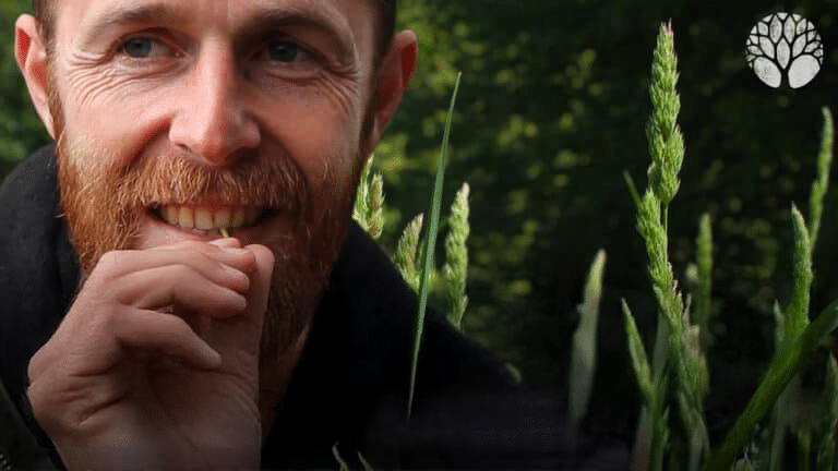 L'herbe est-elle comestible ?