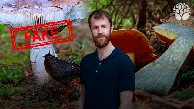 9 croyances sur les champignons, dont 3 qui peuvent tuer !
