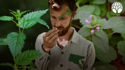 10 Plantes sauvages d'automne 2 !